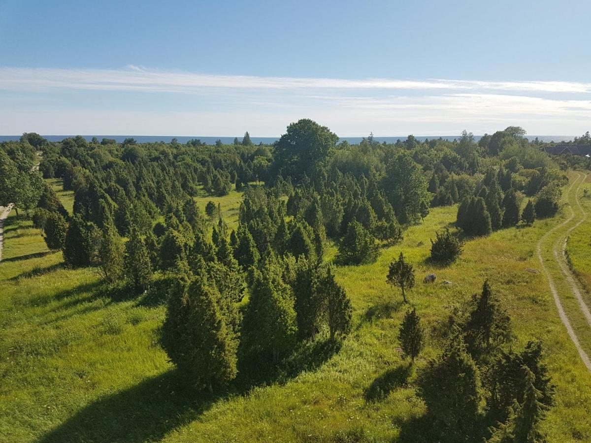 Tõstamaa Meierei Hotel Tostamaa Exterior foto